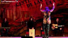 Privado: [ID: gKxUqxIttkc] Youtube Automatic