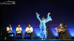 Privado: [ID: h-eYs_RpqKY] Youtube Automatic