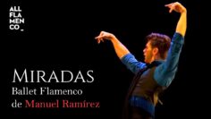 Privado: [ID: NBlacUwkBEQ] Youtube Automatic