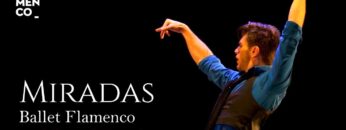 Privado: [ID: NBlacUwkBEQ] Youtube Automatic