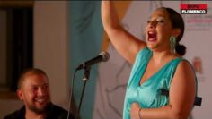 Privado: [ID: QF1grdeFhJU] Youtube Automatic