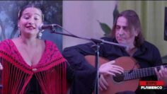 Privado: [ID: txk2cRB6V7k] Youtube Automatic