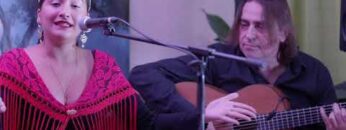 Privado: [ID: txk2cRB6V7k] Youtube Automatic