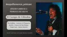 Privado: [ID: ZAXshvB5lOk] Youtube Automatic