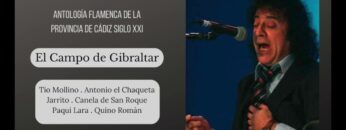 Privado: [ID: ZAXshvB5lOk] Youtube Automatic