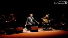 Privado: [ID: Go8atUJ2ELU] Youtube Automatic