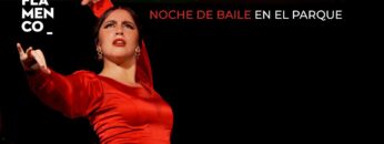 Privado: [ID: l-6CbohuKuM] Youtube Automatic