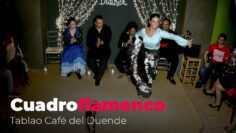 Privado: [ID: lRNB7s18H0k] Youtube Automatic