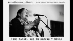 Privado: [ID: tEHxap2Yl_A] Youtube Automatic