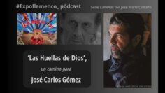 Privado: [ID: UdsDbA4Uhzk] Youtube Automatic