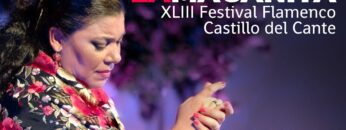 Privado: [ID: yo88Aew5IpA] Youtube Automatic