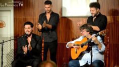 Privado: [ID: zIRvqRqGFZw] Youtube Automatic