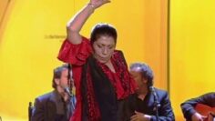 Privado: [ID: gFvELnbee5E] Youtube Automatic