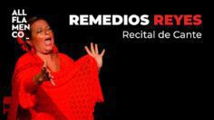 Privado: [ID: NIeaVWtMlMg] Youtube Automatic