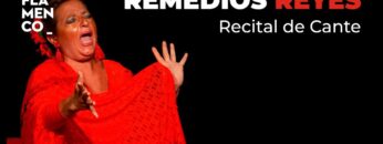 Privado: [ID: NIeaVWtMlMg] Youtube Automatic