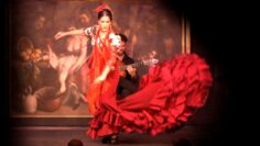 Privado: [ID: qHnH_Bx88HA] Youtube Automatic