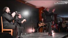 Privado: [ID: 33OFQJrZc6o] Youtube Automatic