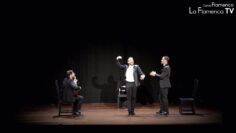 Privado: [ID: bTKGJpVwZqc] Youtube Automatic