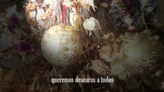 Privado: [ID: loKOHsN8LSI] Youtube Automatic