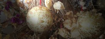 Privado: [ID: loKOHsN8LSI] Youtube Automatic