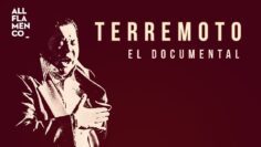 Privado: [ID: bfh3PTfuAEI] Youtube Automatic