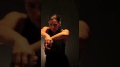 Privado: [ID: 0P91B4mKK7g] Youtube Automatic