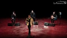 Privado: [ID: nPmTzp5pe-0] Youtube Automatic