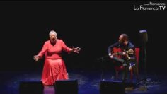 Privado: [ID: oBAlRxupkao] Youtube Automatic