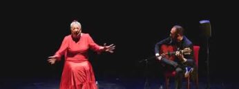 Privado: [ID: oBAlRxupkao] Youtube Automatic