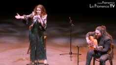 Privado: [ID: W90Rd6vFKzc] Youtube Automatic