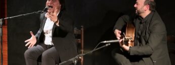 Privado: [ID: 61vT1wpx0Ks] Youtube Automatic