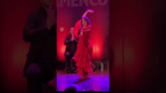 Privado: [ID: Gt7sLQOoY4g] Youtube Automatic