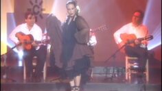 Privado: [ID: qaxEcU9lGO0] Youtube Automatic