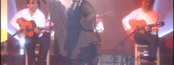 Privado: [ID: qaxEcU9lGO0] Youtube Automatic