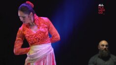 Privado: [ID: QWNPslmHML8] Youtube Automatic