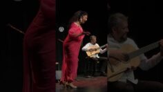 Privado: [ID: UxyAejRCgj8] Youtube Automatic