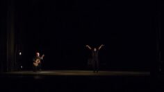 Privado: [ID: 7MWSTcfCu8s] Youtube Automatic