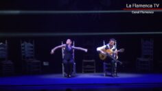 Privado: [ID: fsIfJjWwuW8] Youtube Automatic