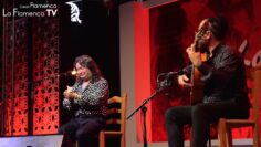 Privado: [ID: PbQXqKtrO2Y] Youtube Automatic