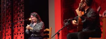 Privado: [ID: PbQXqKtrO2Y] Youtube Automatic