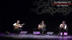 Privado: [ID: wkge19pvxlw] Youtube Automatic