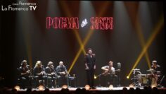 Privado: [ID: 55GcQuKsdw0] Youtube Automatic