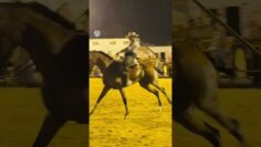 Privado: [ID: ivXsfBVHZXw] Youtube Automatic