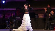 Privado: [ID: OuJvSzAOWyw] Youtube Automatic