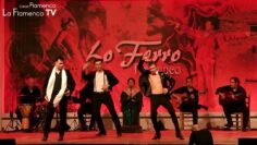 Privado: [ID: Sk1rE2TRMjc] Youtube Automatic