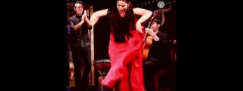 Privado: [ID: v3a2bpxRj2o] Youtube Automatic