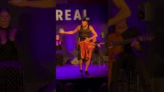 Privado: [ID: 0x2EnLrV5Wo] Youtube Automatic