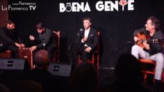 Privado: [ID: _8F1HpvSZiU] Youtube Automatic