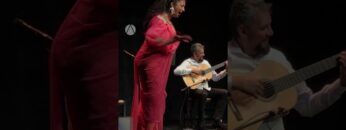 Privado: [ID: 8lc_If7rtuQ] Youtube Automatic