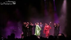 Privado: [ID: m07QBdbs7yU] Youtube Automatic